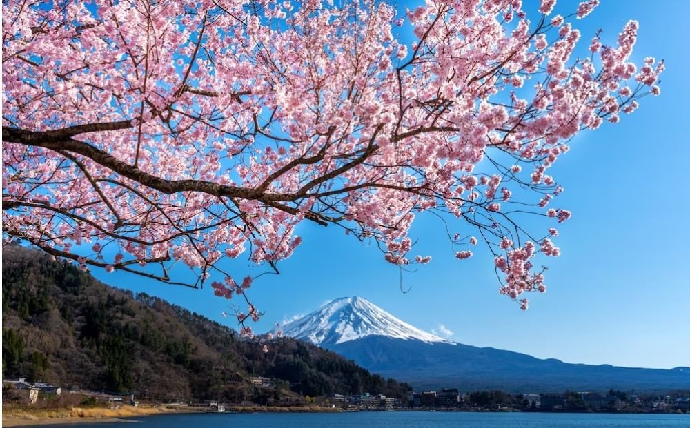 Waktu Terbaik untuk Travel Jepang, Kapan Ya?