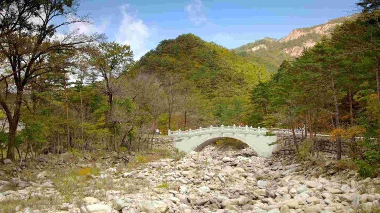 Destinasi Wisata Halal di Korea yang Simpan Keindahan (1)