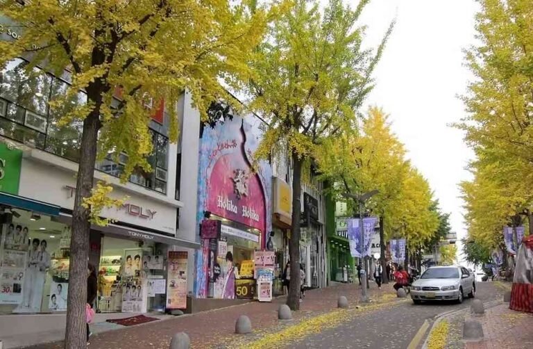 Menutup Tour Korea dengan Belanja di Ewha Womans University Shopping Street