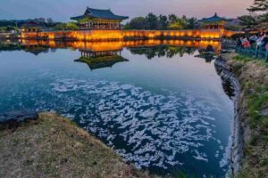 Gyeongju, Tour Korea ke Kota Bersejarah yang Kental Warisan Budaya Hidden Gem Wisata Muslim di Korea Selatan yang Jarang Masuk FYP