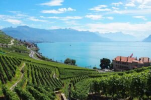 Lavaux Vineyards, Menikmati Halal Tour di Swiss dengan Panorama Spektakuler Keindahan Swiss dalam Balutan Travel Halal yang Tak Selalu Mudah