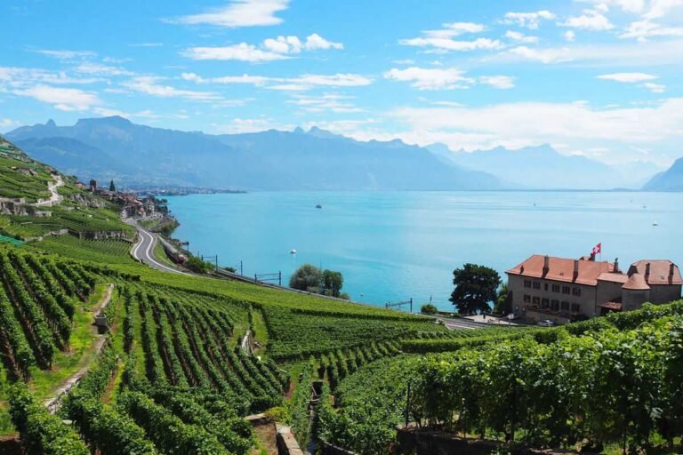 Lavaux Vineyards, Menikmati Halal Tour di Swiss dengan Panorama Spektakuler