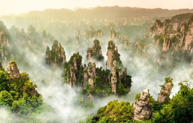 Zhangjiajie National Forest Park, Petualangan Halal Tour ke Dunia Avatar Halal Travel Zhangjiajie: Surga Tersembunyi di Tiongkok yang Ramah Muslim