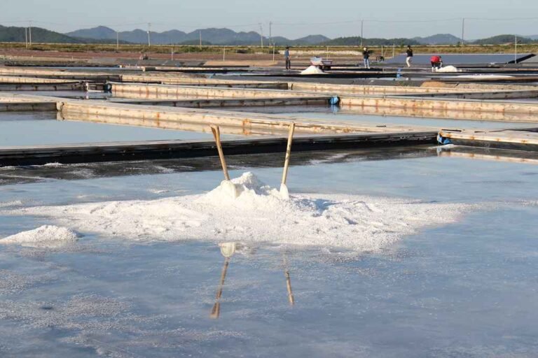 Jeungdo Salt Farm, Menjelajahi Hamparan Ladang Garam Tradisional dalam Tour Korea