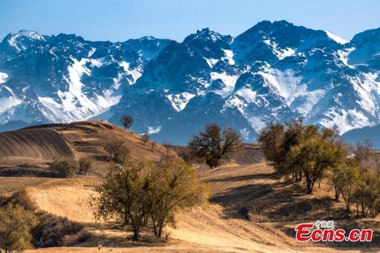 Menjelajahi Keindahan Jiangbulake Grand Canyon, Petualangan Halal Tour Mendebarkan