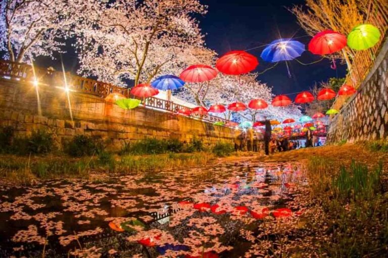 Jinhae Cherry Blossom Festival, Lautan Bunga Sakura dalam Tour Korea Musim Semi!