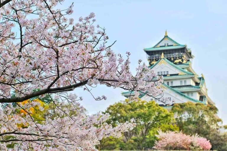 Kansai, Jelajah Budaya dan Kuliner dalam Halal Tour di Jantung Jepang!