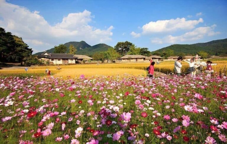 Jelajah Kehidupan Tradisional yang Autentik dalam Tour Korea ke Oeam Folk Village