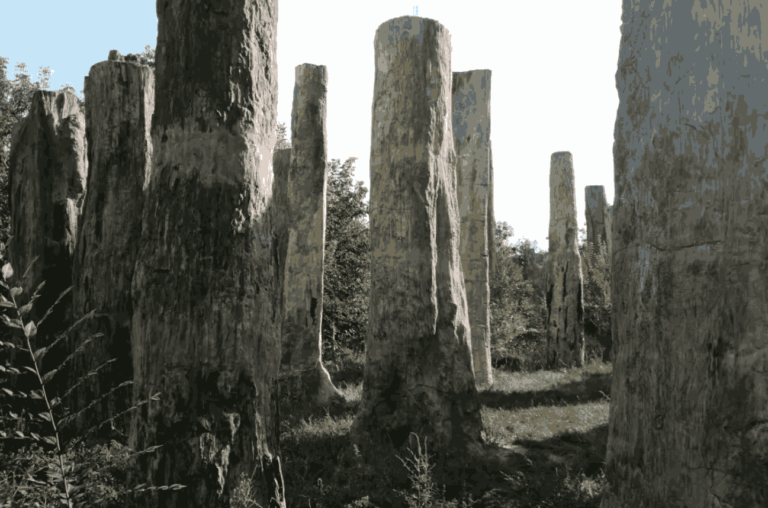 Fosil Kayu Raksasa dan Jejak Dinosaurus di Taman Geologi Qitai, Seru untuk Halal Tour!