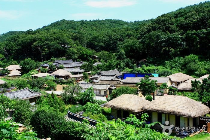 This Is Korea Tours
