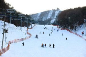 Serunya Main Ski Gratis di Korea Bareng Paket Tour Korea Winter Wonderland!
