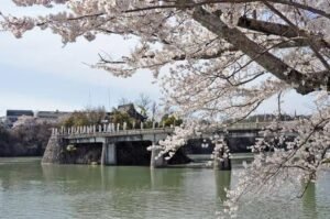 Nggak Cuma Shibuya, Kawasan Tenang di Tokyo Ini Bikin Wisata Muslim Punya Cerita Lain