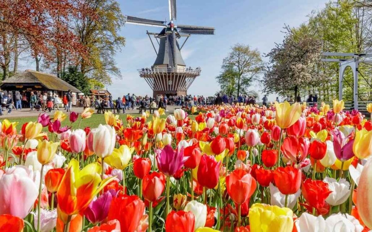 Jelajahi Indahnya Keukenhof Park dalam Paket Tour Eropa 2024 Bersama WHI 