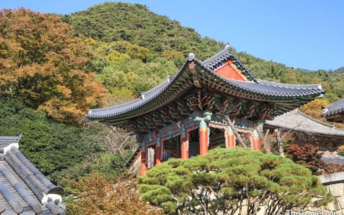 tripadvisor.co.id