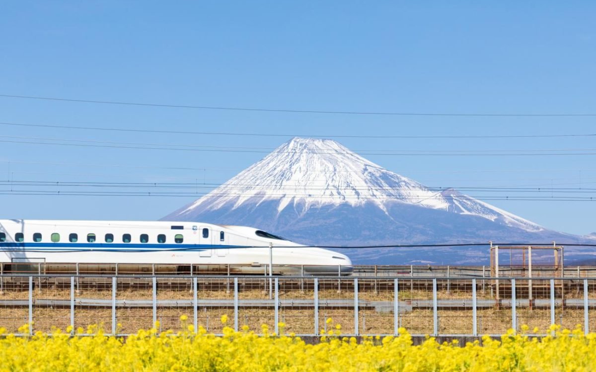 https://travel.rakuten.com/