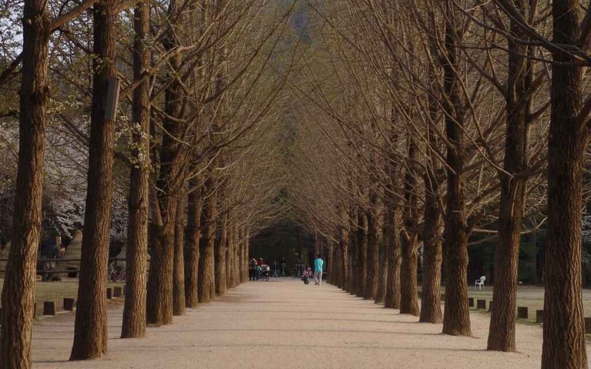 Obati Rasa Penasaran Lokasi Syuting Winter Sonata dalam Tour Korea 2024 (1)